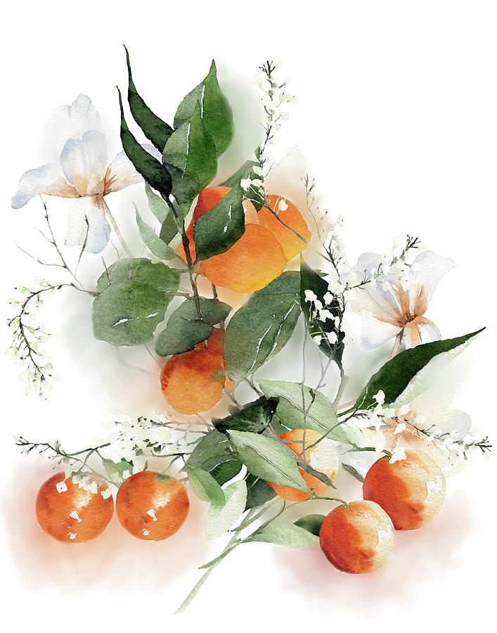 Fresh Oranges Mixed Media by Colleen Taylor