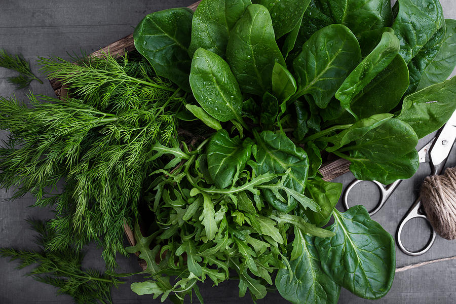 Fresh organic herbs and leaf vegetables Photograph by Istetiana