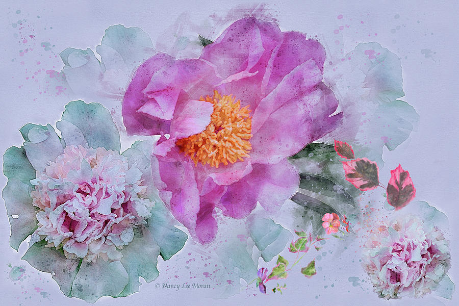 Fresh Peony Blooms I Mixed Media by Nancy Lee Moran