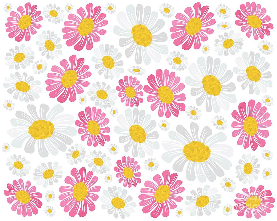 pink daisy drawing