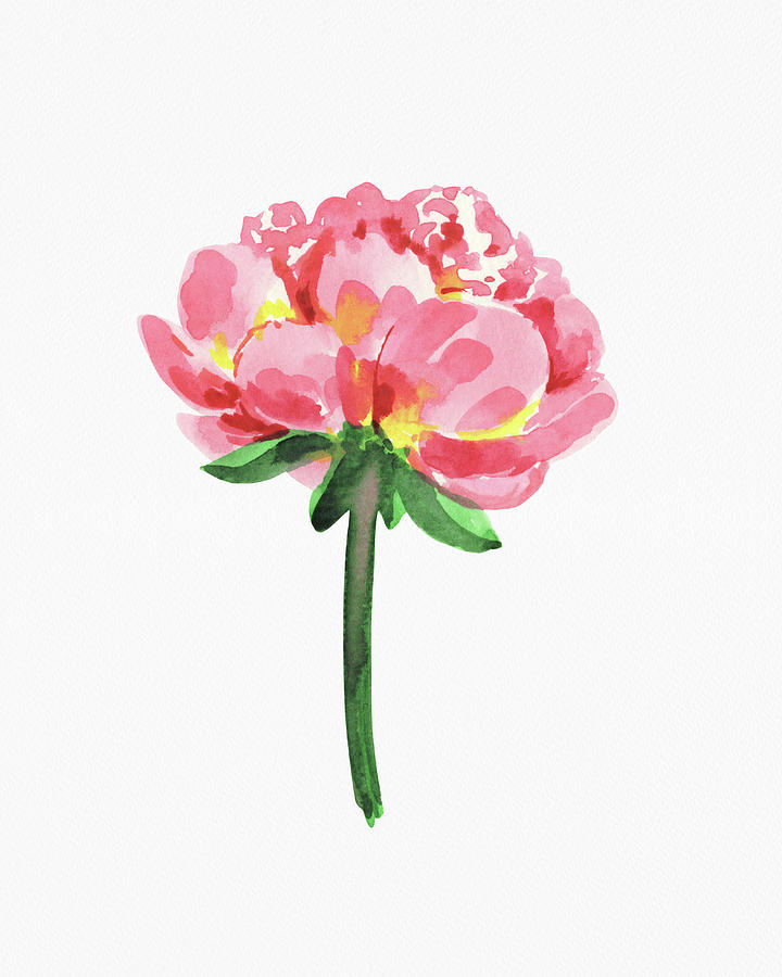 Fresh Pink Peony Watercolor Flower On White Paper Floral Art Minimalism I Painting by Irina Sztukowski