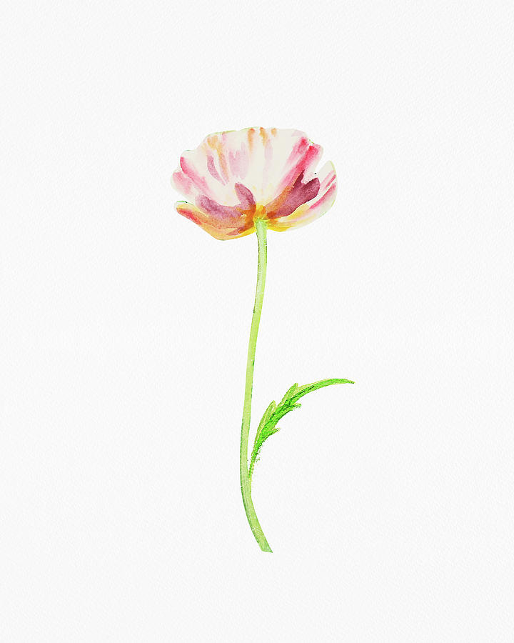Fresh Pink Poppy Watercolor Flower On White Paper Floral Art Minimalism  Painting by Irina Sztukowski