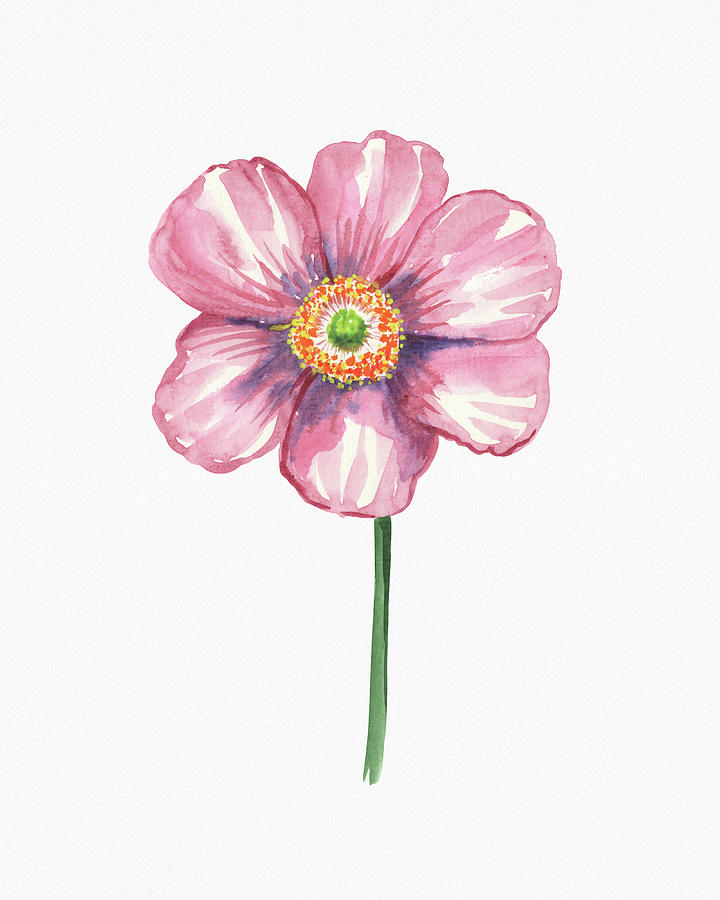 Fresh Pink Watercolor Flower On White Paper Floral Art Minimalism I  Painting by Irina Sztukowski