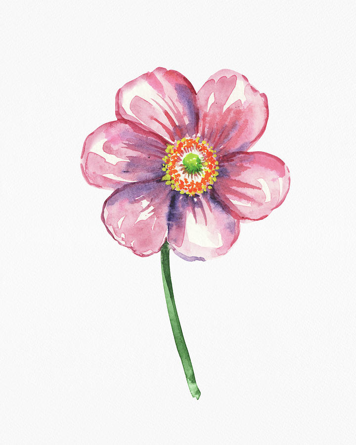 Fresh Pink Watercolor Flower On White Paper Floral Art Minimalism II Painting by Irina Sztukowski
