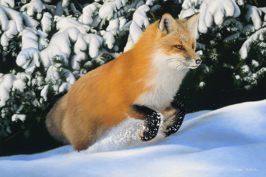 Fresh Powder - Red Fox Painting by Nikita Coulombe