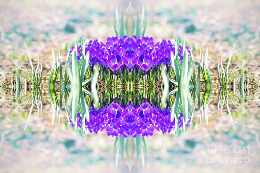 kaleidoscope flowers