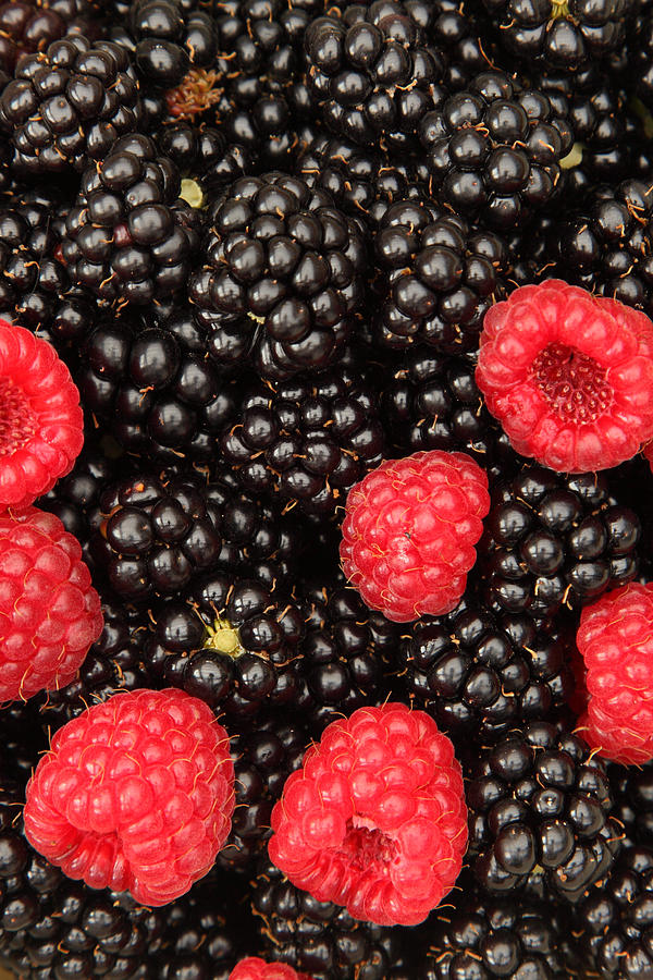 Fresh raspberries (rubus idaeus) and blackberries full frame Photograph by Pejft