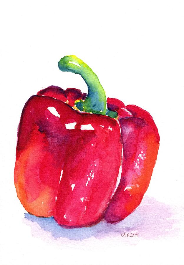 Fresh Red Bell Pepper Painting by Carlin Blahnik CarlinArtWatercolor