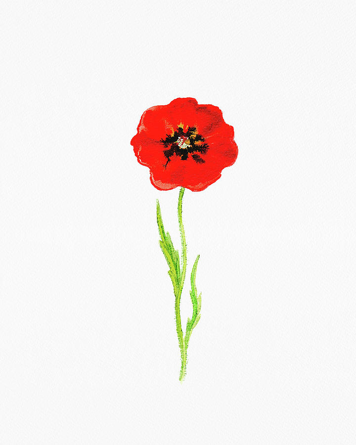 Fresh Red Poppy Watercolor Flower On White Paper Floral Art Minimalism II Painting by Irina Sztukowski