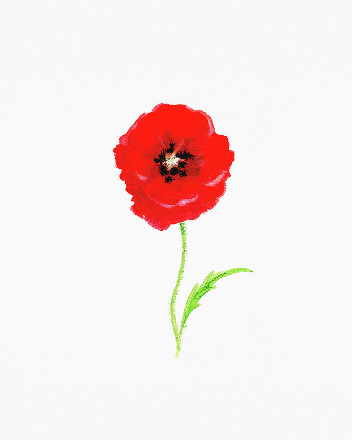 Fresh Red Poppy Watercolor Flower On White Paper Floral Art Minimalism III Painting by Irina Sztukowski