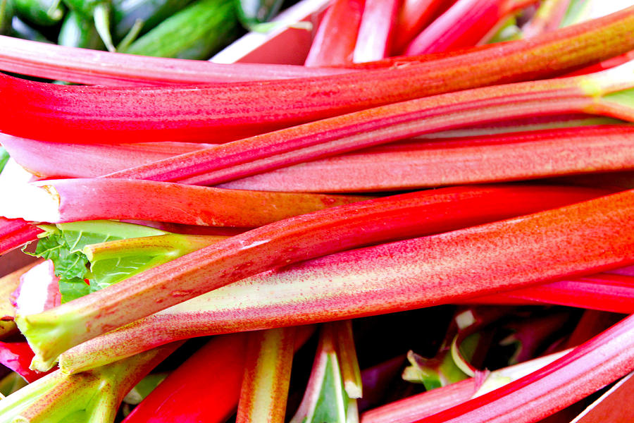 Fresh rhubarb Photograph by Baloncici