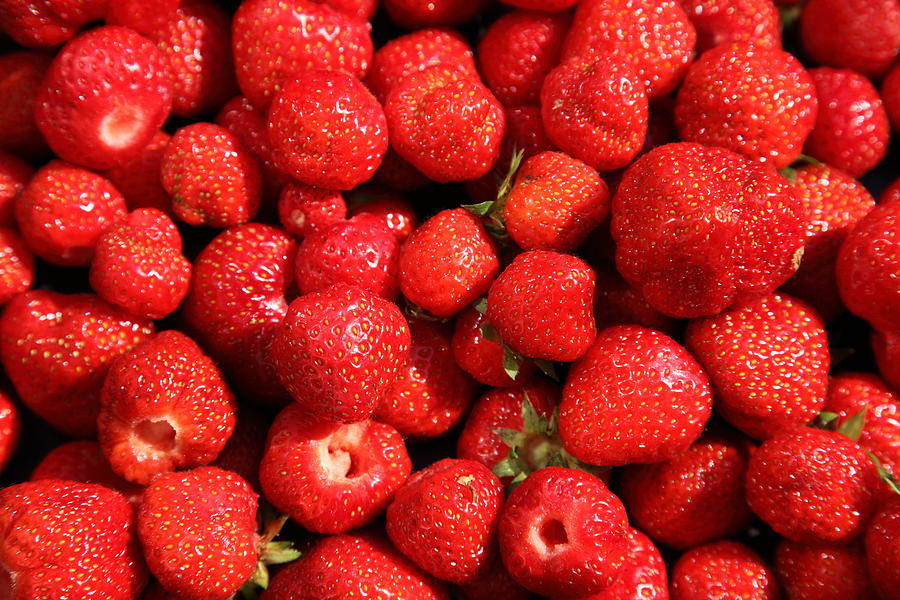 Fresh ripe strawberries newly picked Photograph by Pejft
