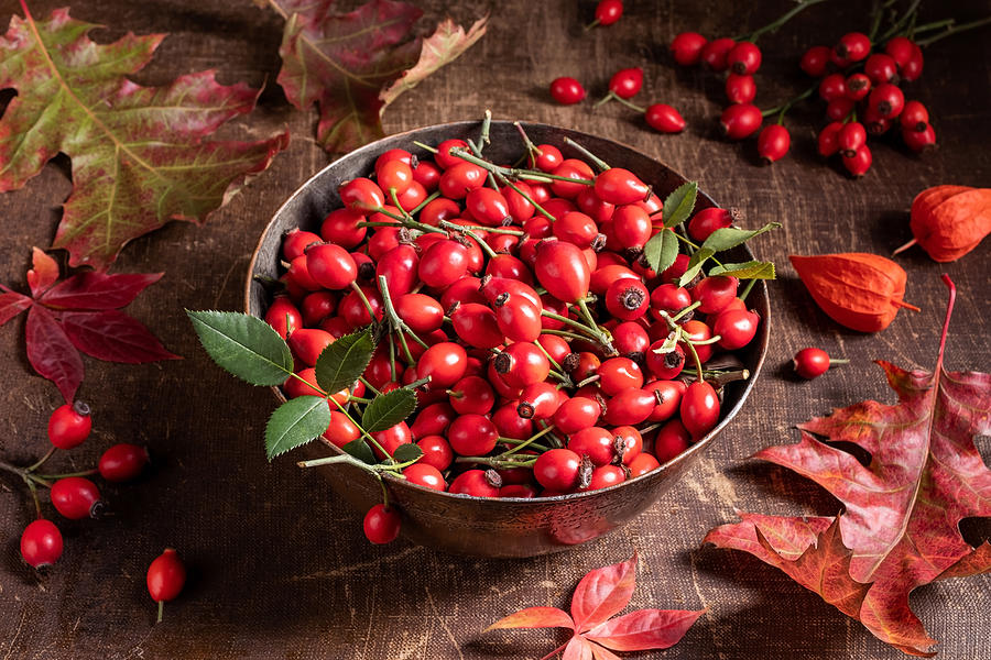 Fresh rose hips in a bowl on a table Photograph by Madeleine_Steinbach