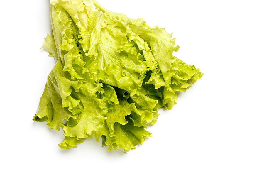 Fresh salad lettuce isolated on white Photograph by Repinanatoly