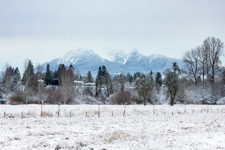 Fresh Snow at Derby Reach Regional Park Photograph by Michael Russell