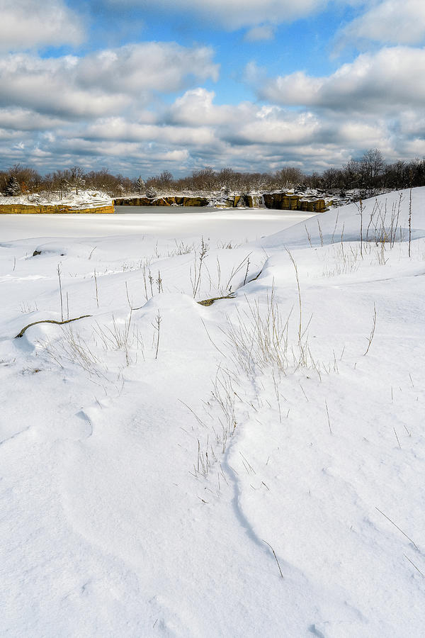 Fresh Snow, Halibut Pt. Photograph by Michael Hubley