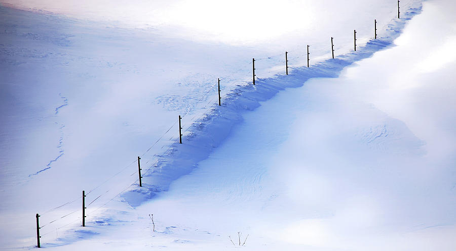 Fresh Snow Photograph by Imi Koetz
