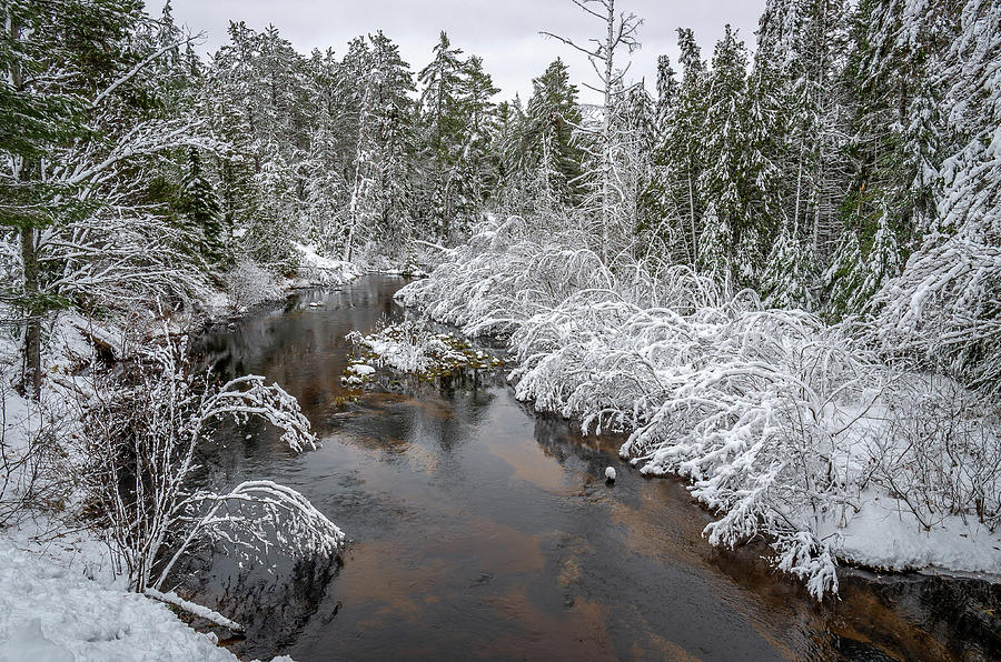 Fresh Snow on Grand Marais Creek Photograph by Gary McCormick