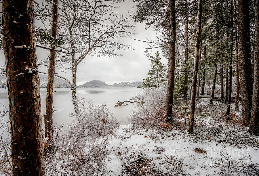 Fresh Snow by Susan Garver Fresh Snow by Susan Garver