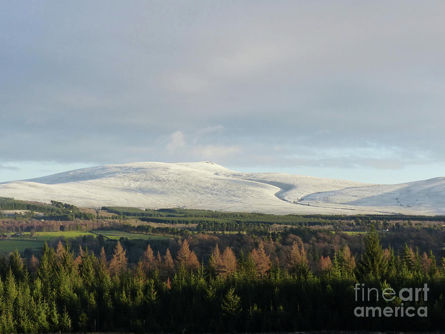 Fresh snowfall on Ben Rinnes Photograph by Phil Banks