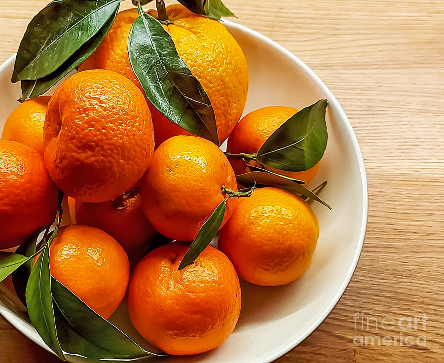 Fresh Tangerines Photograph by Nina Ficur Feenan