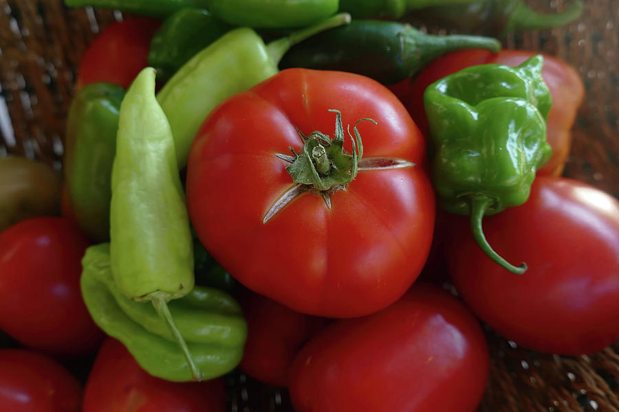 Fresh tomatoes and peppers from garden Photograph by Steve Estvanik