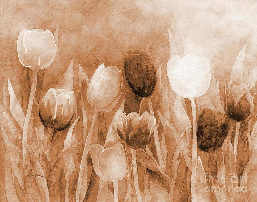 Fresh Tulips In Sepia Tone Painting