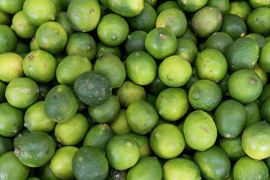 Fresh Whole Limes at Market Photograph by Bradford Martin