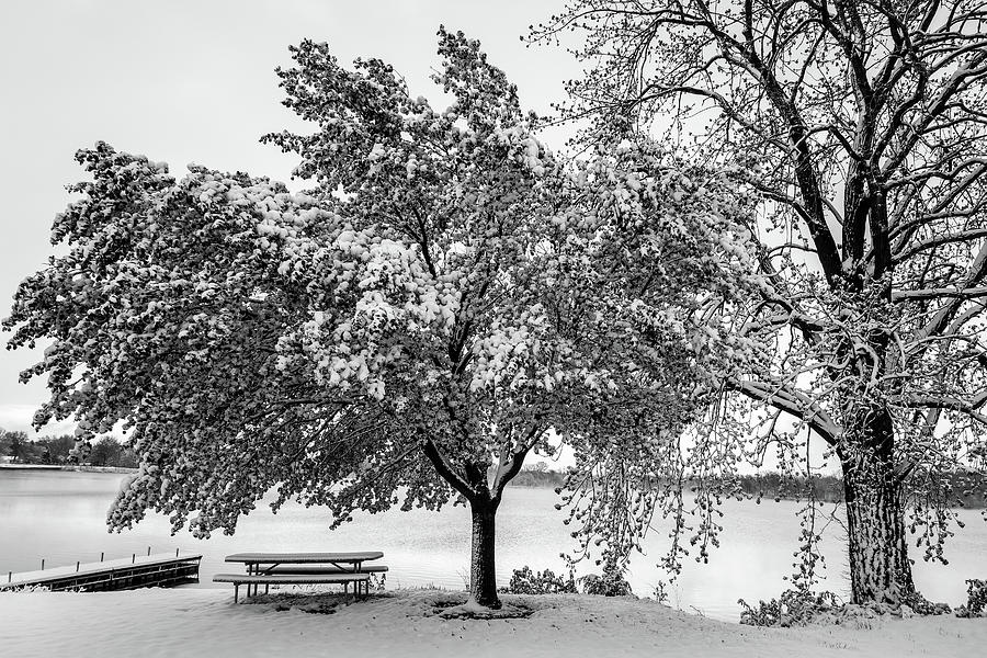 Black And White Photograph - Fresh Winter Snow At The Park Lima Ohio by Dan Sproul