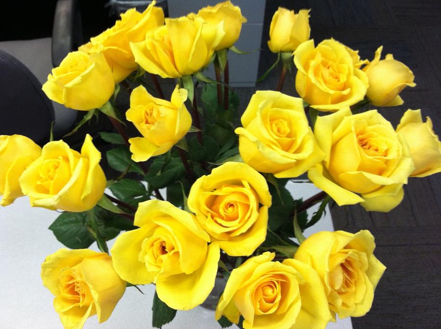 Fresh Yellow Rose Bouquet Photograph By Cindy Bale Tanner 