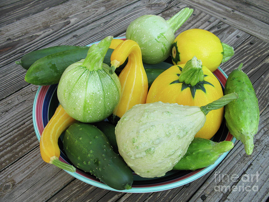 Freshly Picked Vegetables in a Bowl 8634 Photograph by Jack Schultz
