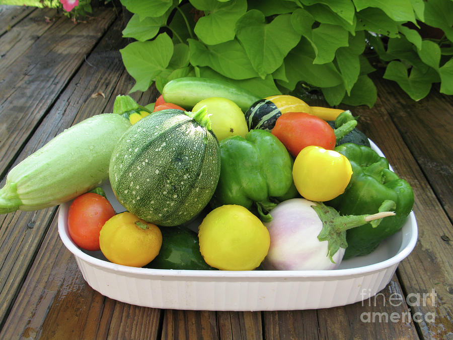 Freshly Picked Vegetables in a Bowl with Sweet Potato Vines 8746 Photograph by Jack Schultz