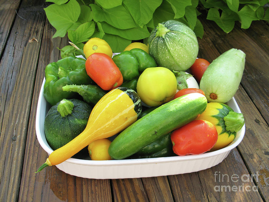 Freshly Picked Vegetables in a Bowl with Sweet Potato Vines 8748 Photograph by Jack Schultz