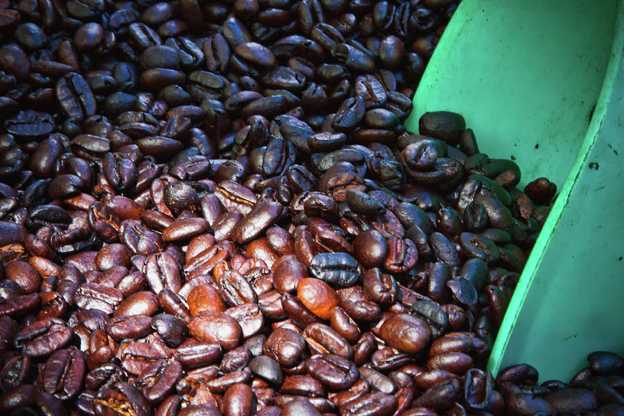 Freshly roasted coffee beans Photograph by Tatiana Travelways
