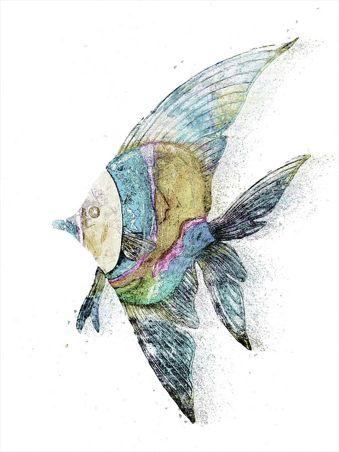 Freshwater Angelfish Digital Art by Pamela Williams