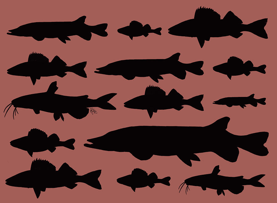 Freshwater fishes black on mauve Digital Art by Rebecca Eberts