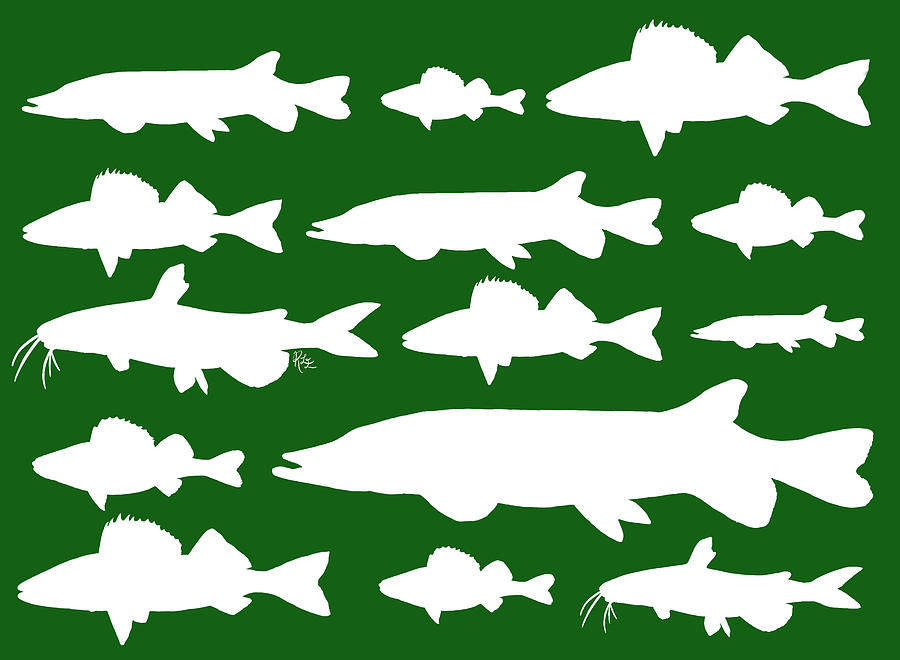 Freshwater fishes on Christmas Green Digital Art by Rebecca Eberts