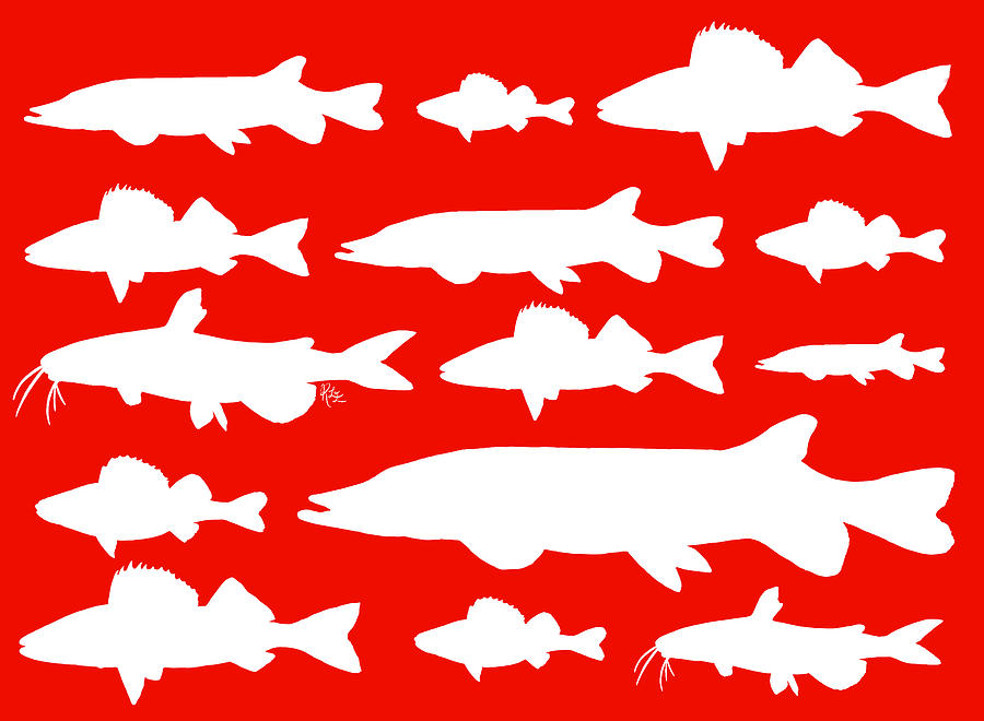 Fish Digital Art - Freshwater fishes on holiday red by Rebecca Eberts