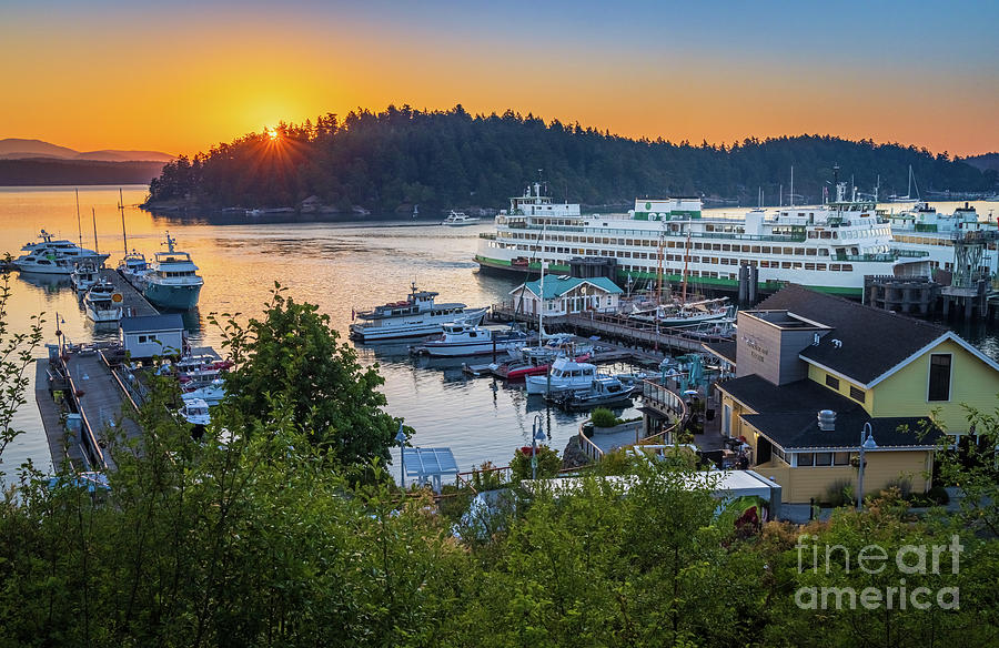Friday Harbor First Light Photograph by Inge Johnsson