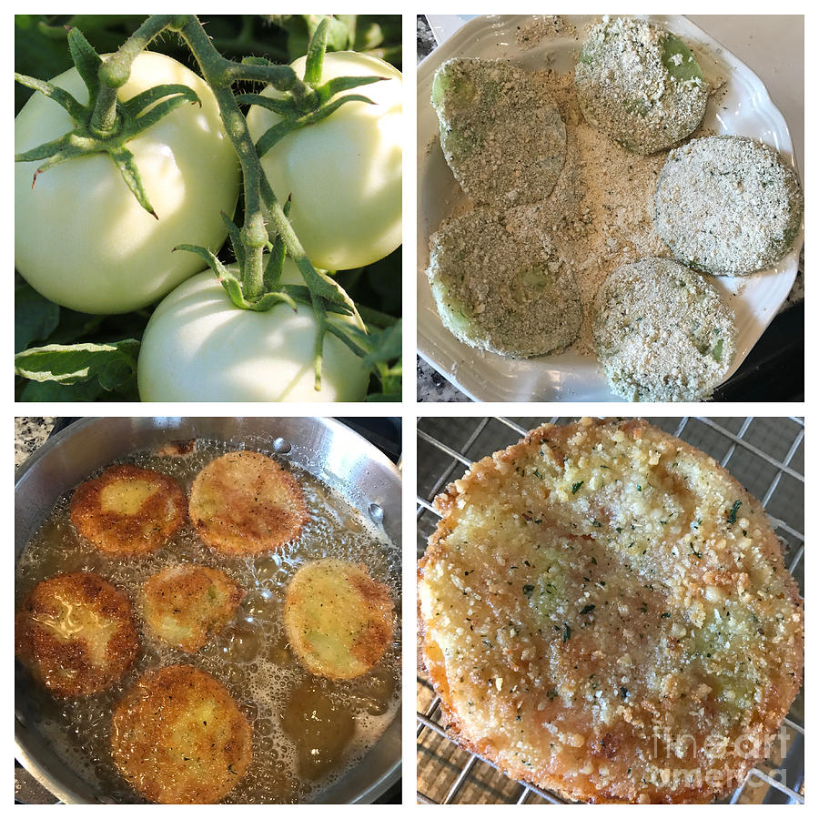 Fried Green Tomatoes Collage Photograph by Carol Groenen