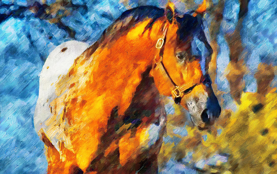 Friendly Appaloosa horse - digital painting Digital Art by Nicko Prints
