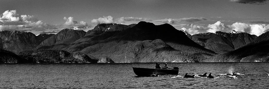 Friends Of The Sea - Dolphins In Desolation Sound Canada Photograph by Sonny Ryse