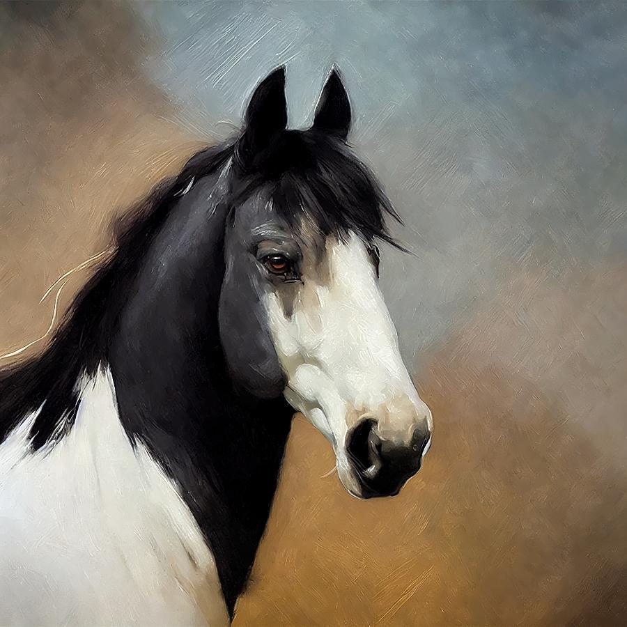 Friesian horse Digital Art by 951 Prints - Fine Art America