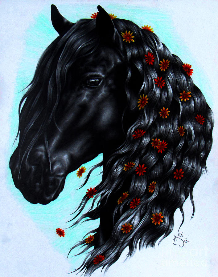Friesian Horse Drawing by Amber Evans Fine Art America