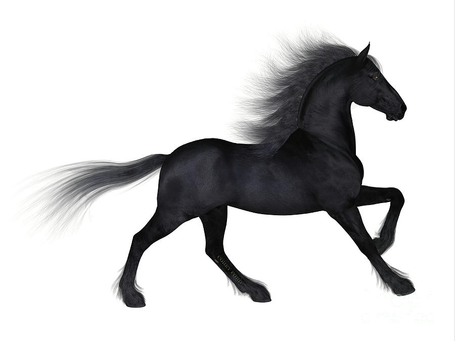 Friesian Horse Digital Art by Corey Ford