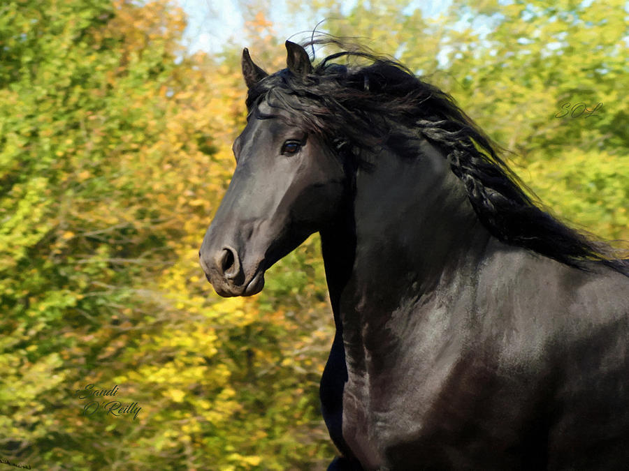 Friesian Horse Portrait In Autumn Mixed Media by Sandi OReilly