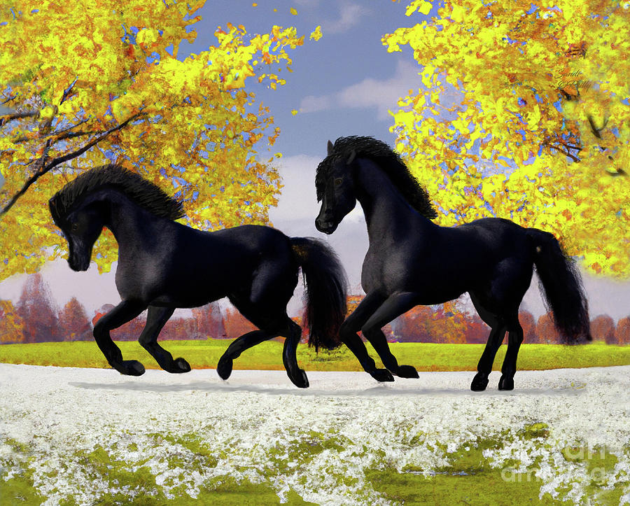 Friesian Horses Romp In Autumn Pasture Mixed Media by Sandi OReilly