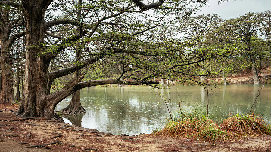 Frio River Reflections - Garner State Park, Texas Photograph by Brigitte Blanchette Thompson Frio River Reflections - Garner State Park, Texas Photograph by Brigitte Blanchette Thompson