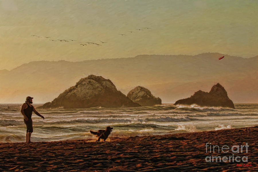 Frisbee With My Dog Ocean Beach San Francisco Photograph by Blake Richards