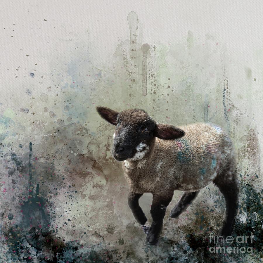 Farm Photograph - Frisky Lamb by Eva Lechner